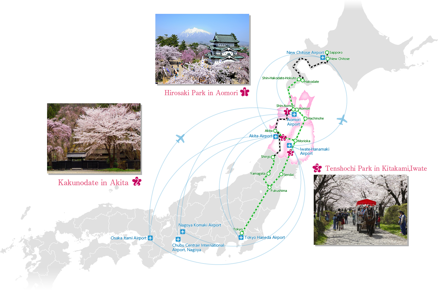 Access - Cherry Blossom (1452x963), Png Download