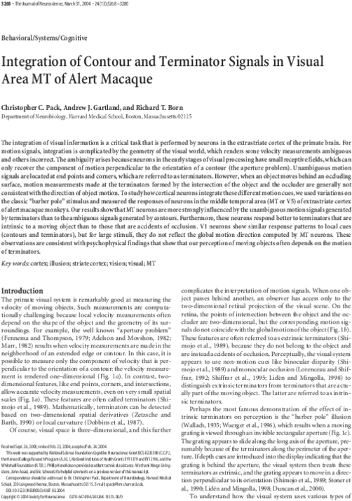 Pdf - Goose Tower In Vordingborg, Zealand (600x797), Png Download