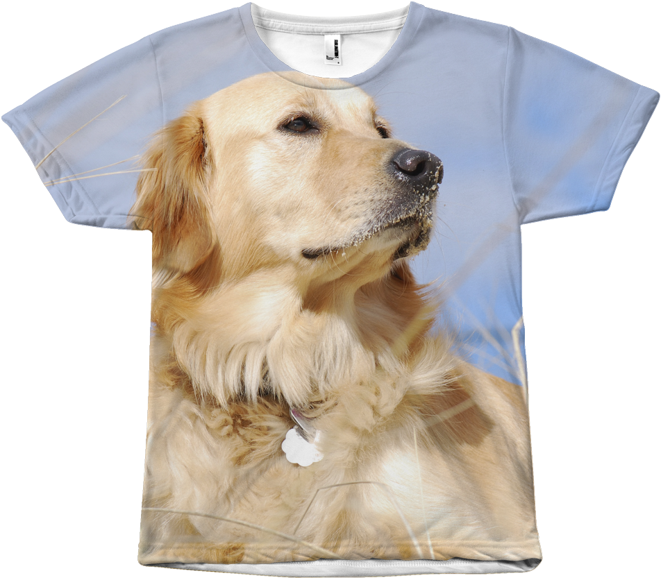 Golden Retriever Shirt - Golden Retriever (1024x1024), Png Download