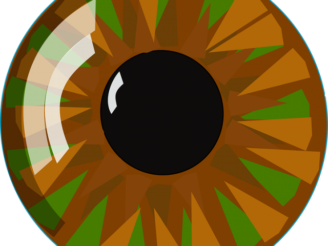 Hazel Eyes Clipart Human Eye - Clip Art (640x480), Png Download