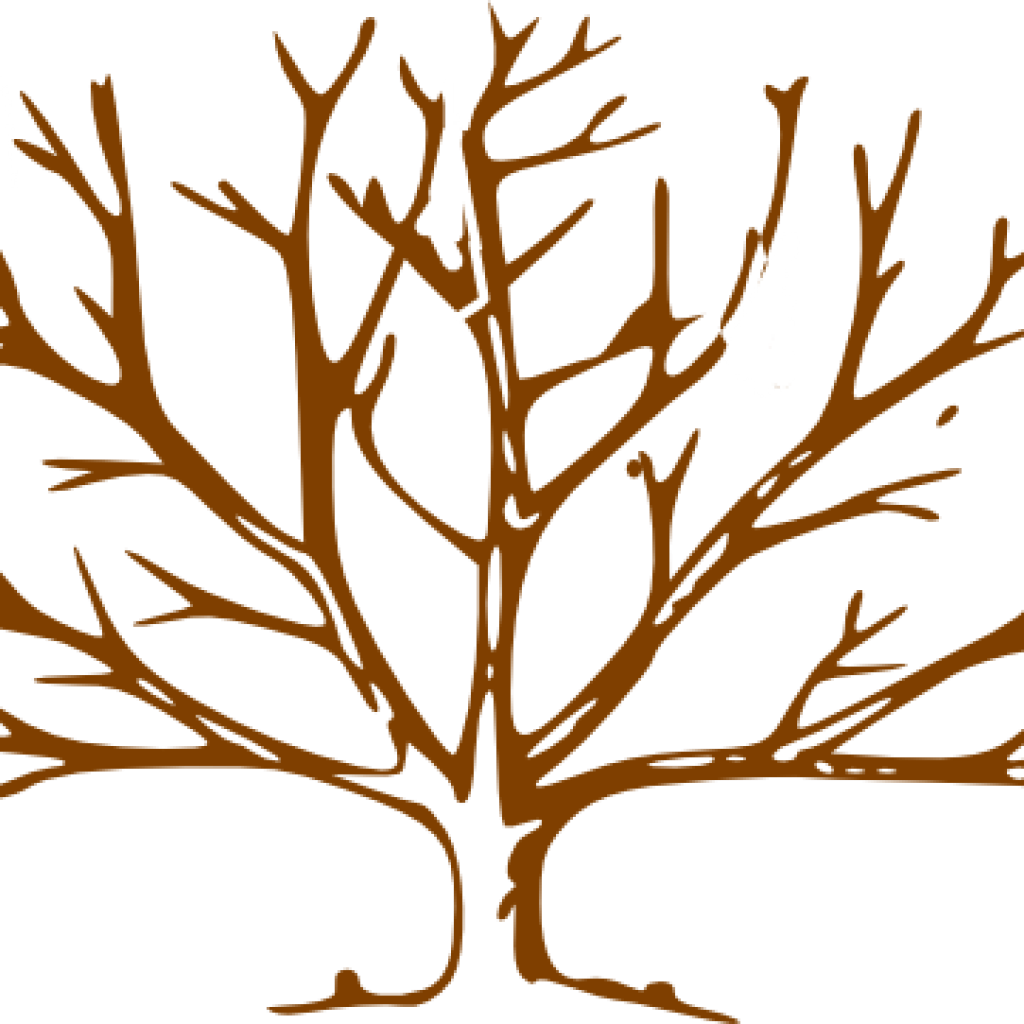 Bare Tree Clipart Brown Clip Art At Clker Vector Online - Draw A Tree With Snow (1024x1024), Png Download