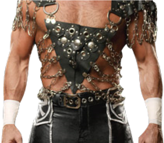 Shawn Michaels Clipart Wwe - Triple H Dx (640x480), Png Download