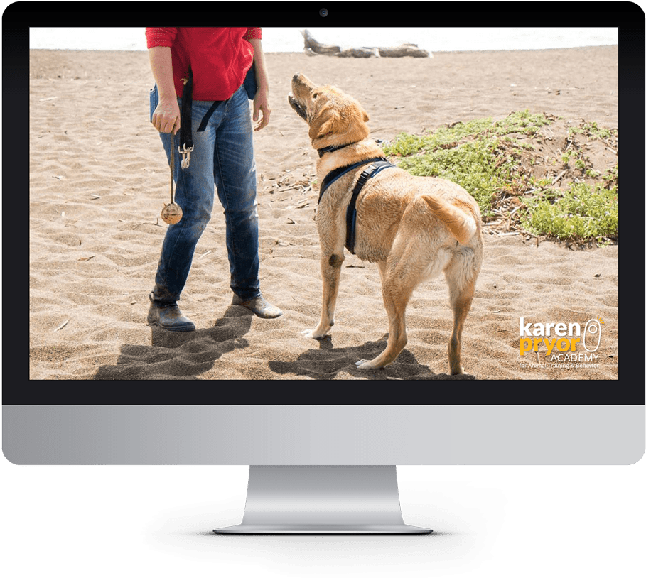 Image - Dicker Data Web Portal Customer (1000x852), Png Download