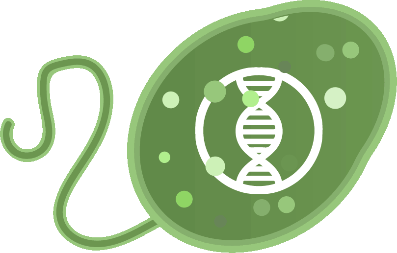 Http - //2018 - Igem - Org/wiki/images/6/60/t Marburg - Bissendorfer Panther (809x517), Png Download