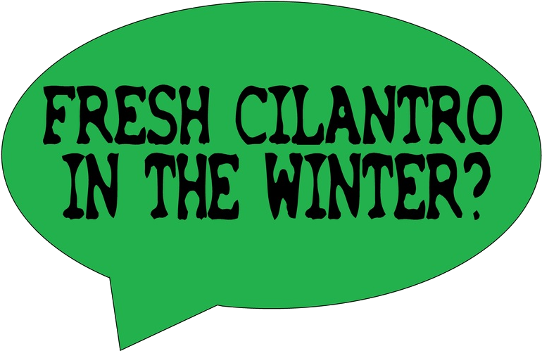 Fresh Cilantro In The Winter - Corporate Responsibility (804x536), Png Download