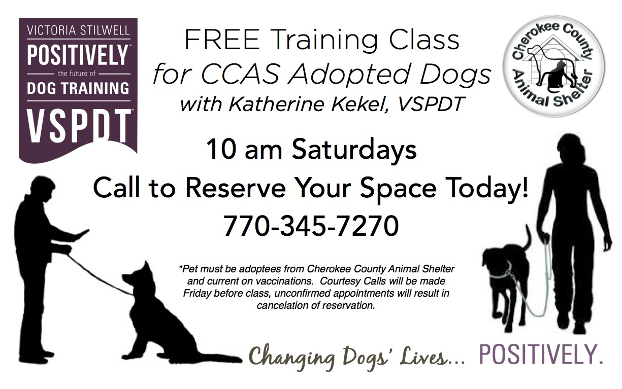 Com And At Checkout Enter The Code - Silhouette (1224x1584), Png Download