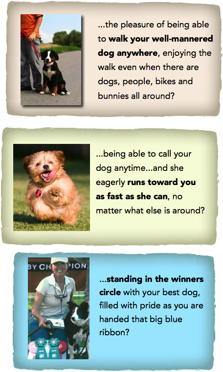 Imagine Your Well-behaved And Trained Dog - Dog Licks (471x782), Png Download