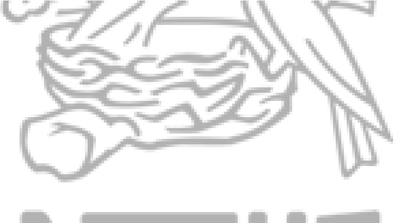 Single Company Logos With Names (1100x450), Png Download