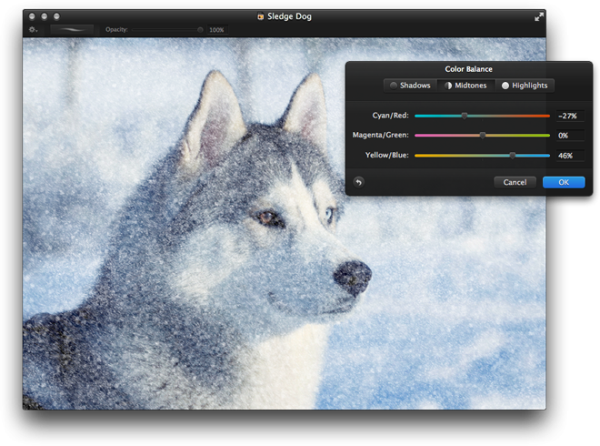 Drag The Midtones Sliders Closer To Cyan And Blue - Show Dogs With Pointy Ears (660x490), Png Download
