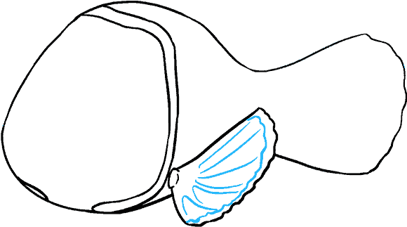 How To Draw Nemo - Line Art (678x600), Png Download