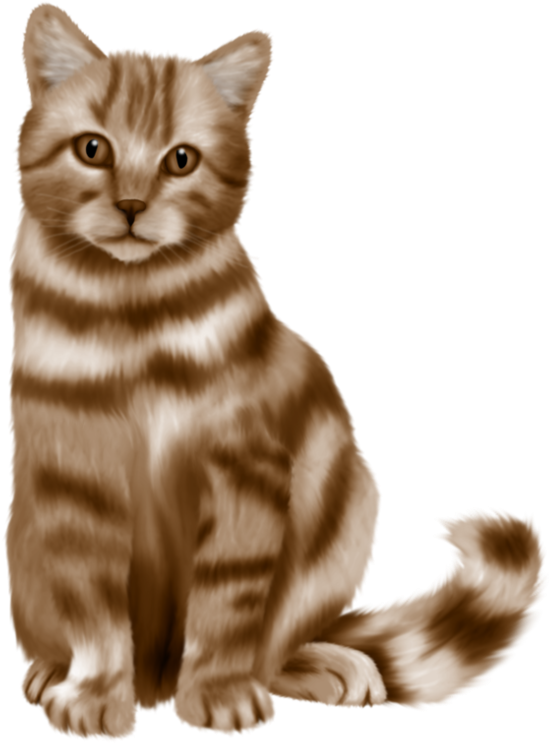 Cute Cat Png Picture - Cat (600x787), Png Download
