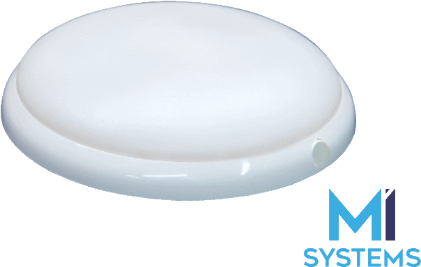 F2021 White Crown - Oval (800x600), Png Download