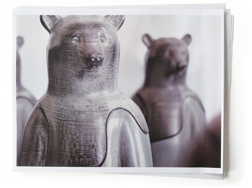 01 Final5 - Grizzly Bear (990x900), Png Download