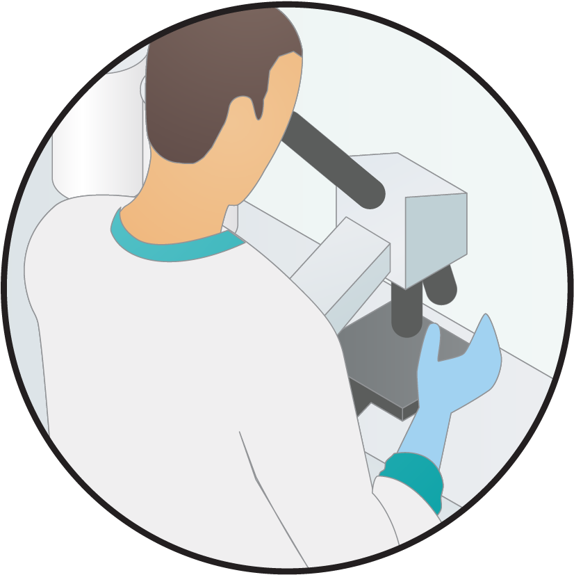 Svg Royalty Free Stock Laboratory Investigation Frames - Illustration (833x833), Png Download