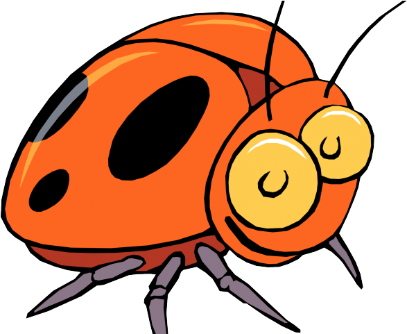 Insect Clipart Kid Png - Beetle Clipart (640x480), Png Download