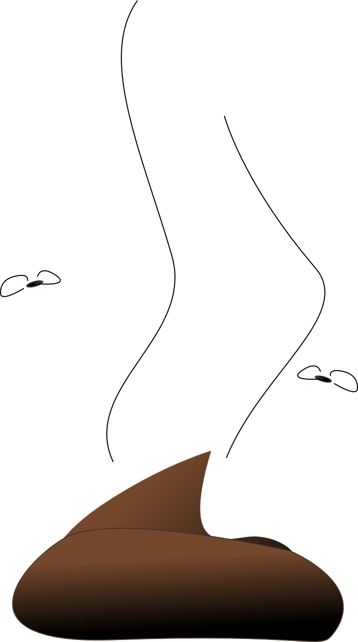 Excremento Png (714x1280), Png Download