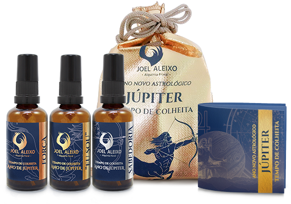 Kit Tempo De Colheita - Floral Astrologico Onde Comprar (600x600), Png Download