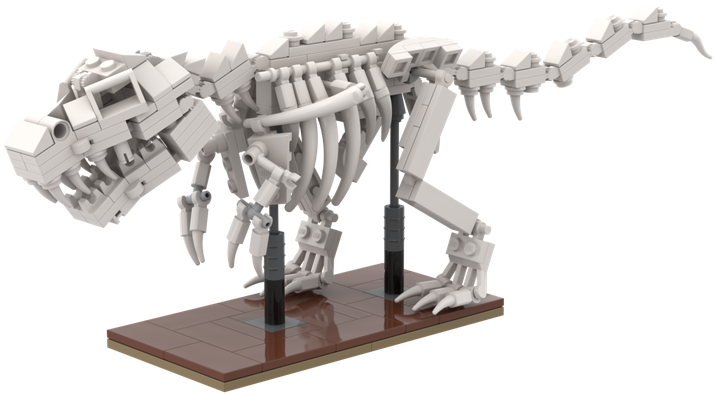 Skeleton T-rex - Skeleton (800x600), Png Download