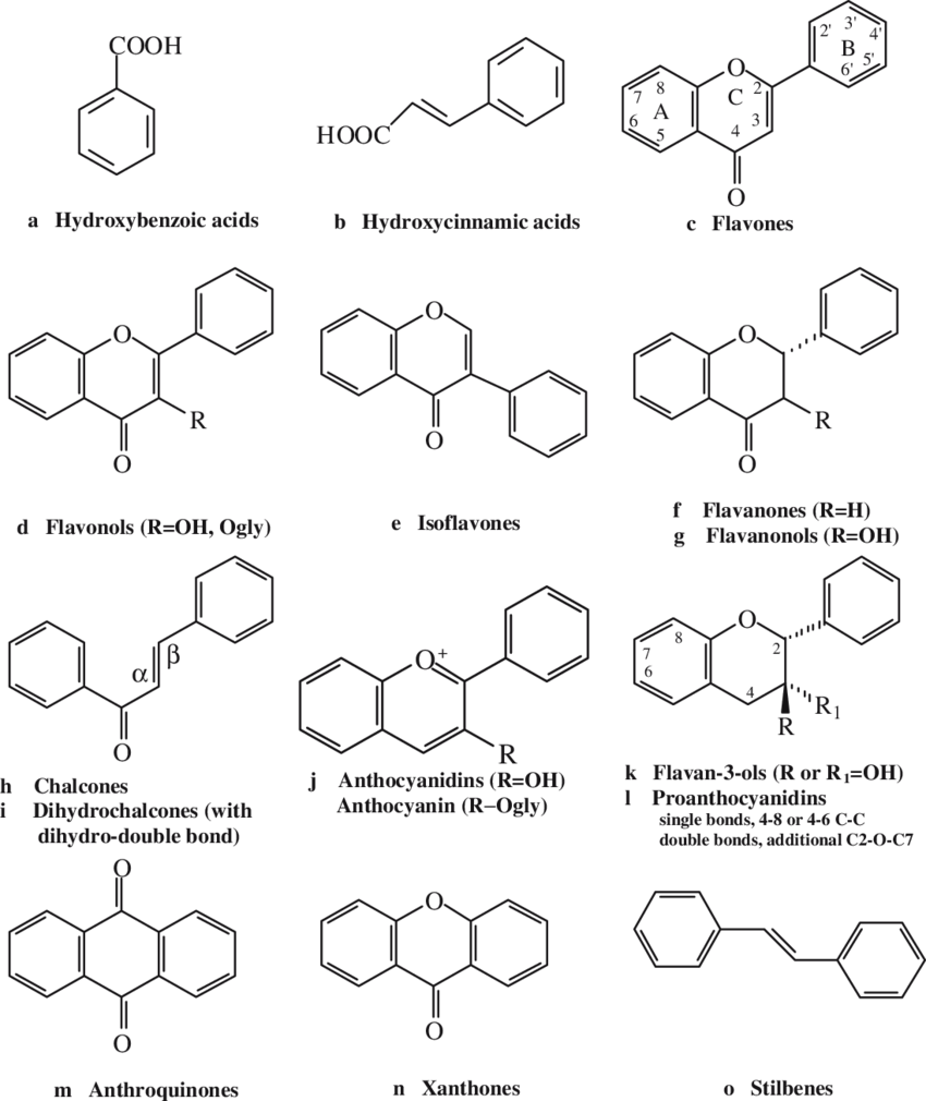 Structural Skeletons Of Common Phenolic Compounds Found - Diagram (850x1010), Png Download