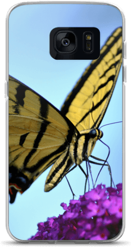 Butterfly (600x600), Png Download