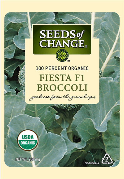 Organic Fiesta F-1 Broccoli Seeds - Collard Greens (573x573), Png Download