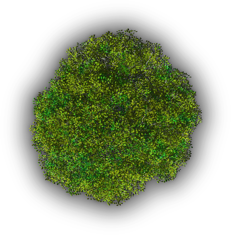 Tree Jrl3a - Moss (740x753), Png Download