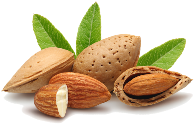 Sutter Yuba Colusa Almond Day - Frutos Secos (700x467), Png Download