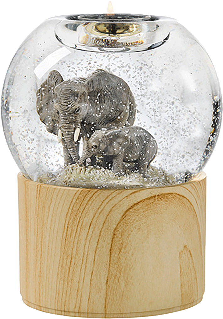 Sp19 P93210 Web - African Elephant (1200x1200), Png Download