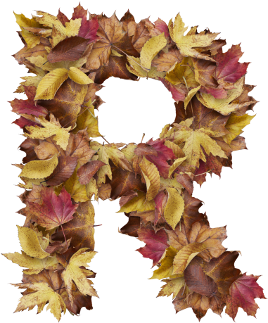 Letter R From Dry Leaves - Wreath (866x650), Png Download