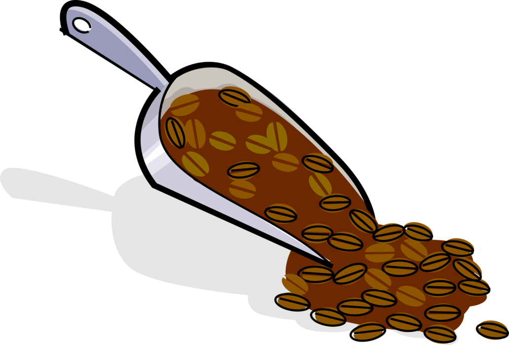 Vector Illustration Of Coffee Bean Seed Of The Coffee - Coffee Beans Clipart (1032x700), Png Download