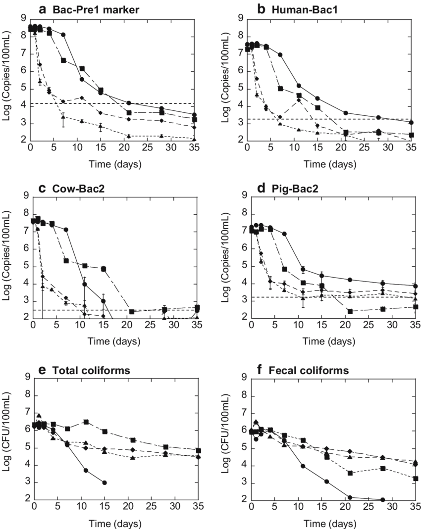 Persistence Of Fecesderived Bac Pre1 Markers , Human - Diagram (850x1069), Png Download