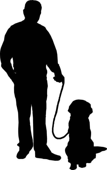 Dog Training In Home - Dog Walking Silhouette Png (456x720), Png Download