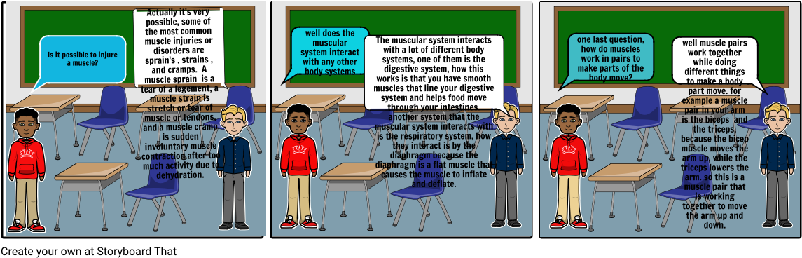 Muscular System Part - Cartoon (1164x385), Png Download