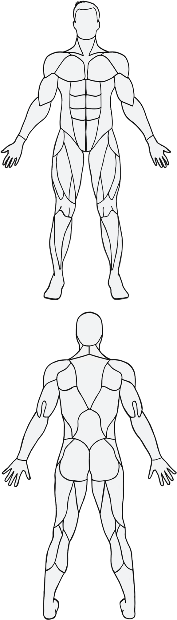 Understand Your Body, Simplify Your Workouts - Line Art (597x2095), Png Download