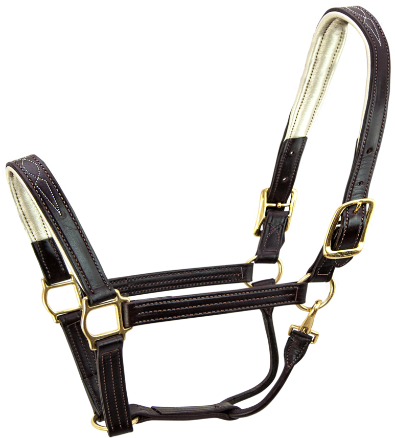 Signature Padded Horse Halter -s5000 - Horse Halter Png (1200x960), Png Download