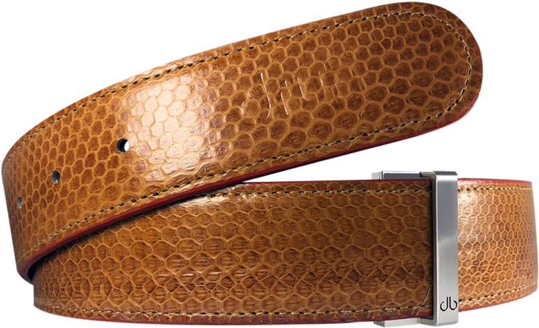 Light Brown Snakeskin Leather Belt - Belt (800x600), Png Download