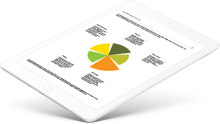 Facet5 Superskills™ Sample Report - Gadget (767x432), Png Download