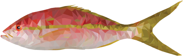 Fish - Wrasses (612x792), Png Download