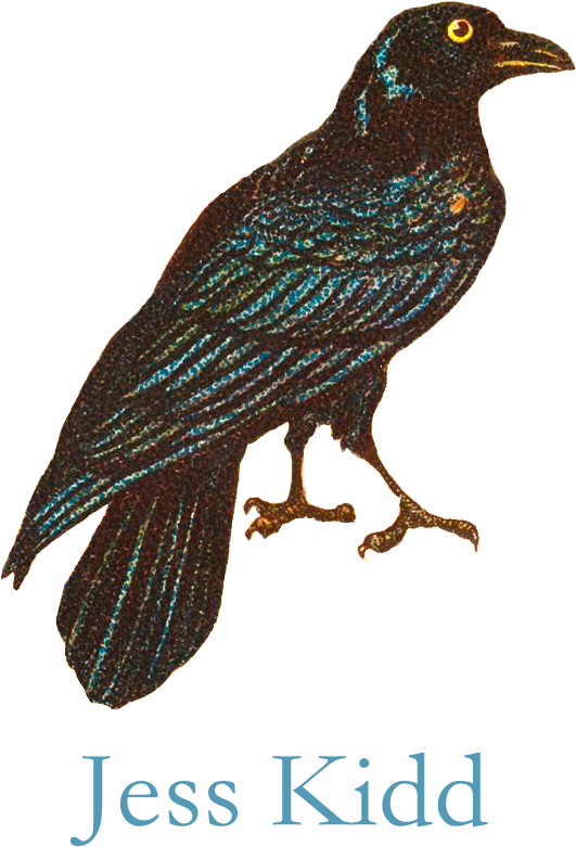 Rusty Blackbird (559x830), Png Download