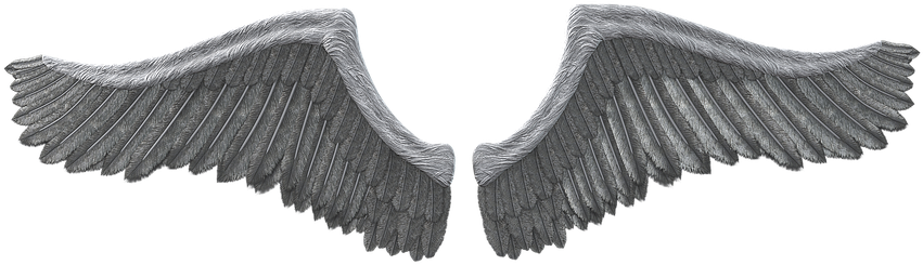 Wing, Feather, Angel, Fee, Elf, Fairy - Fairy (926x340), Png Download