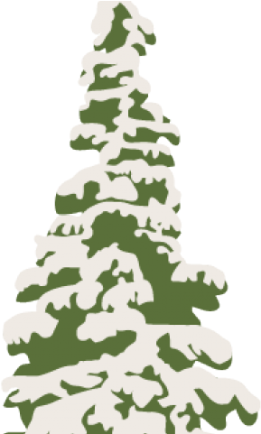 Christmas Tree Clipart Snowy - Snowy Trees Transparent Background (640x480), Png Download