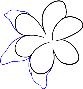 How To Draw Lily - Line Art (678x600), Png Download