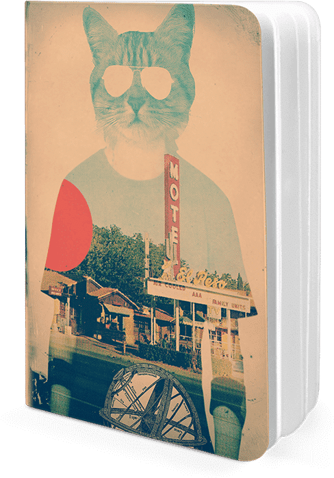 Dailyobjects Cool Cat A5 Notebook Plain Buy Online - Collage (600x700), Png Download