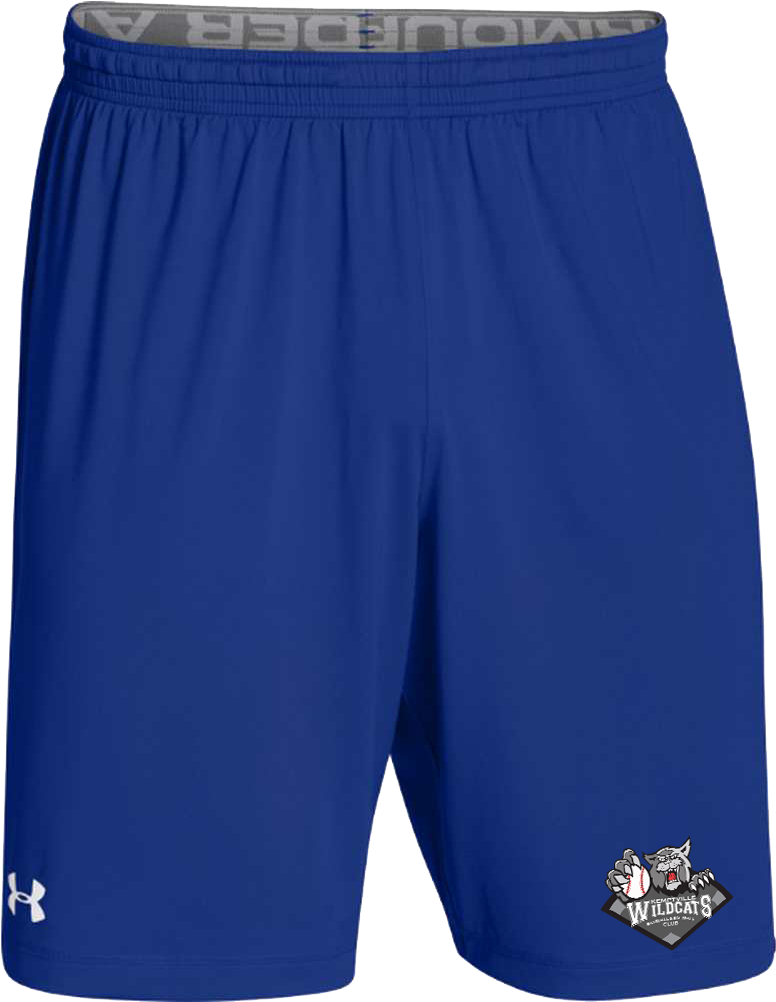 Under Armour Shorts - Ua Team Raid Shorts Black (1001x1001), Png Download