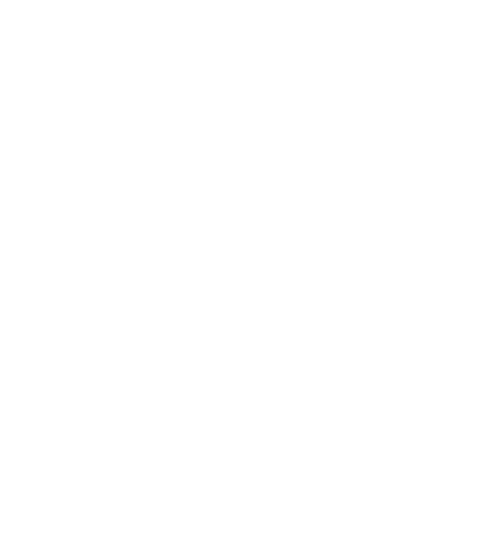 Spider Spiderweb Spiderweb - Liverpool Fc Logo Png White (792x1067), Png Download