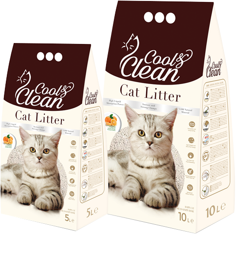 Cat Grabs Treat (491x812), Png Download