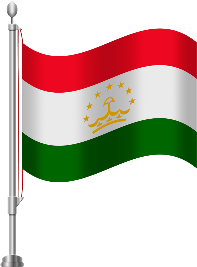 Png Transparent Flag India (800x1042), Png Download