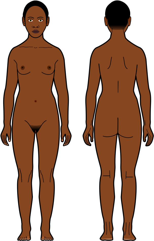 Black Woman Surface Diagram Ahead-behind - Body Black Men (680x1023), Png Download