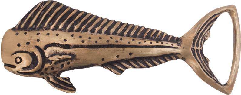 Marine Mammal (1024x650), Png Download