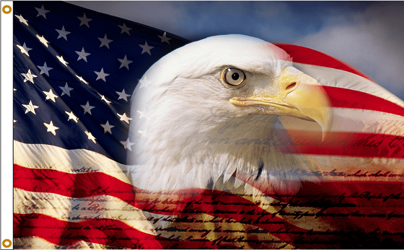 Patriotic American Flag With Bald Eagle - 4 July 4th Of July Military Quotes (800x800), Png Download